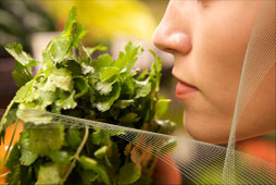 Woman smelling fresh herbs
